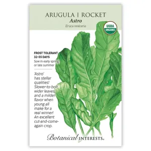 Arugula Rocket Astro Org Seed Pkt