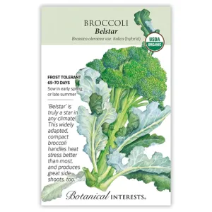 Broccoli Belstar Hybrid Org Seed Pkt