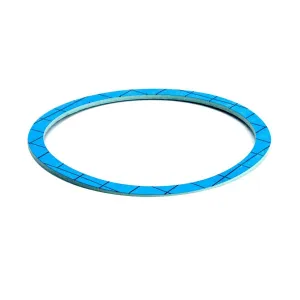 La Spaziale Steam Boiler Gasket